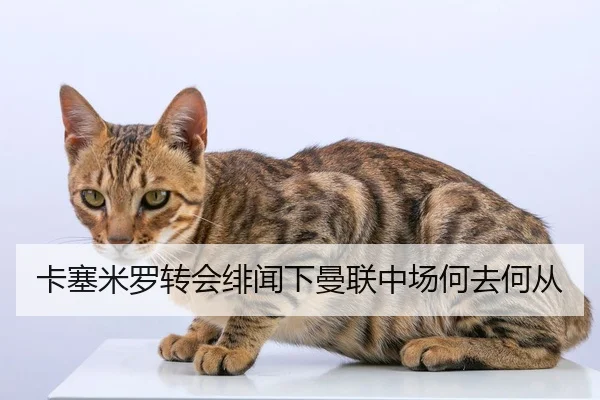 ka-sai-mi-luo-zhuan-hui-fei-wen-xia-man-lian-zhong-chang-he-qu-he-cong-2-808.jpg
